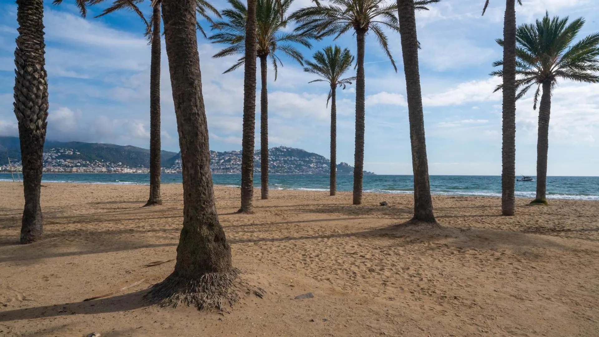 Welhomy Magnifique Appartement Santa Margarida Roses Estany 0*,